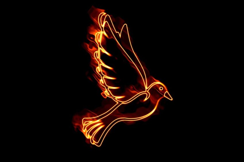 dove, fire, pentecost, holy spirit, religion, christianity, church, dove, pentecost, pentecost, holy spirit, holy spirit, holy spirit, holy spirit, holy spirit